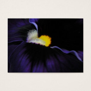 Purple Viola Macro ATC 2