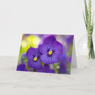 Purple Violas Card