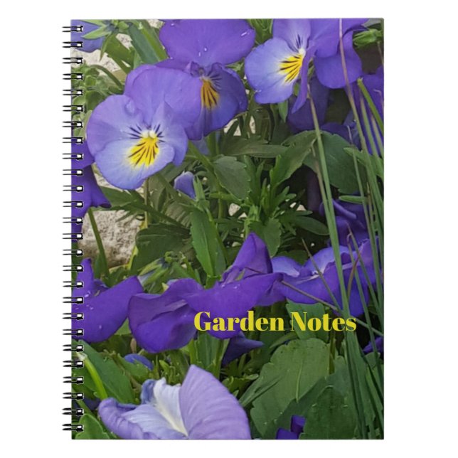 Purple Violas In A Garden Container Notebook (Front)