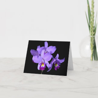 Purple Violet Eggplant Orchids Greeting Note Card