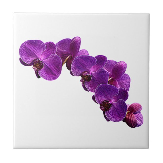 Purple Violet Orchid Flower Vine Tile (Front)