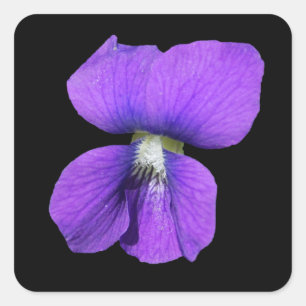 Purple Violet sticker