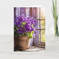 Purple Violets In Clay Pot Birthday