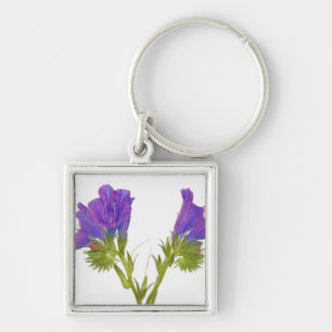 Purple vipers bugloss (echium plantagineum) key ring