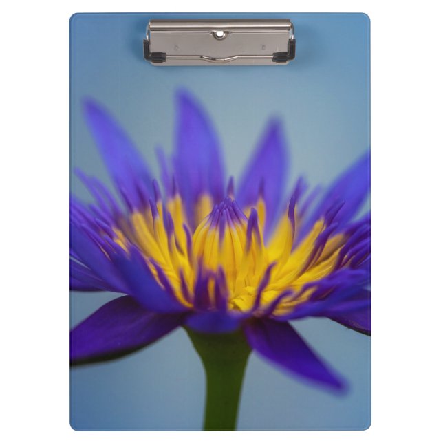Purple Water Lily Flower Clipboard (Front)