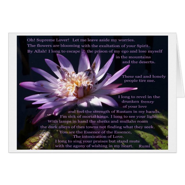 Purple Water Lily with poem by Rumi (Front Horizontal)