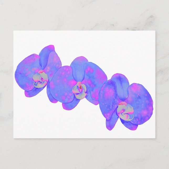 Purple watercolor floral Orchid painting Postcard (Front)