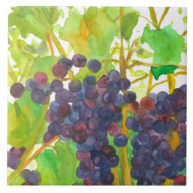 Purple Watercolor Wine Grapes Tile (Front)