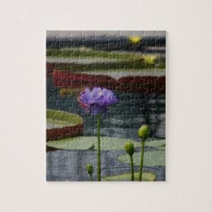 Purple Waterlily Jigsaw Puzzle