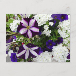 Purple White Blue Flowers DIY Postcard