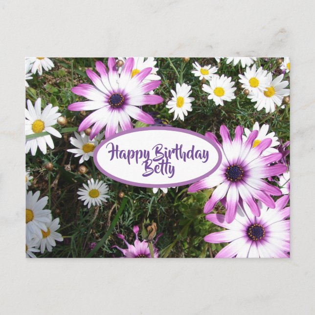 Purple White Daisy Flower Garden Happy Birthday Postcard (Front)