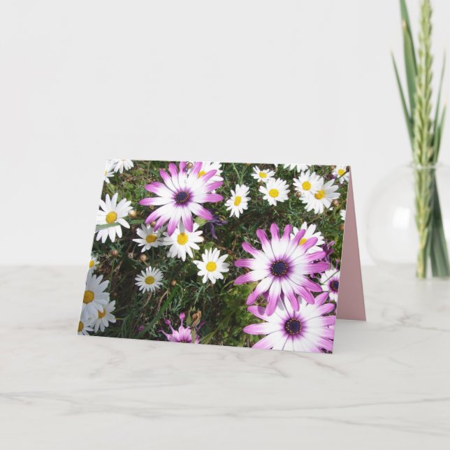 Purple White Daisy Flower Garden Thank You Card (Front)