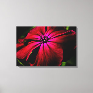 Purple Wild Flower 24x16 (60x40cm) waccn Canvas Print