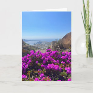 Purple Wild Flowers Santorini Greece Photography Card
