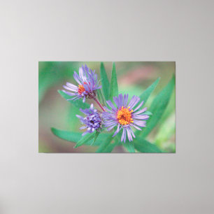 Purple Wildflower Canvas Art