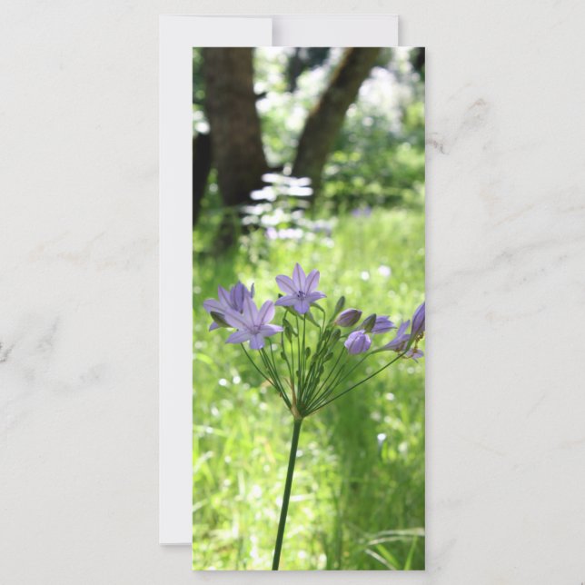 Purple Wildflower Flat Card (Front)