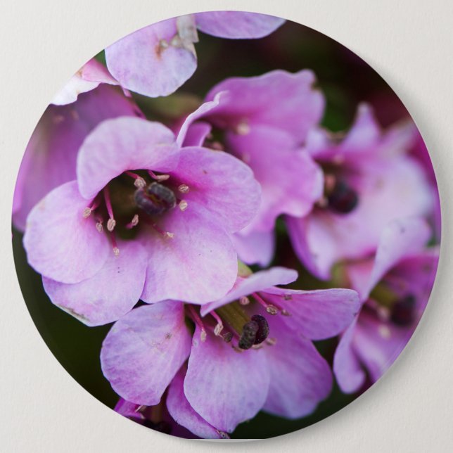 Purple wildflowers 6 cm round badge (Front)