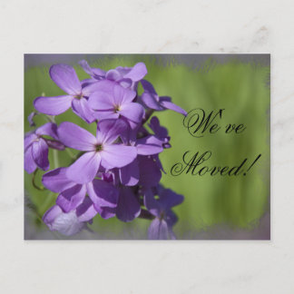 Purple Wildflowers Change of Address Announcement Postcard