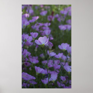 purple wildflowers poster
