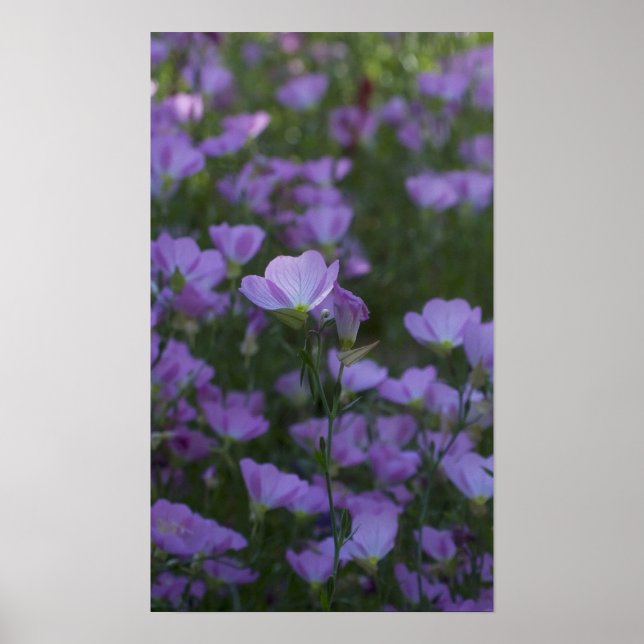 purple wildflowers poster (Front)