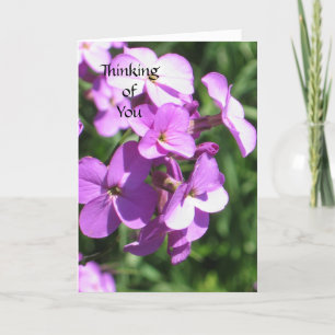 Purple Wildflowers Thinking of You Card