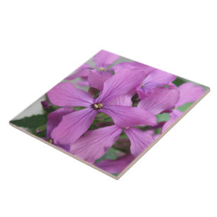 Purple Wildflowers Tile