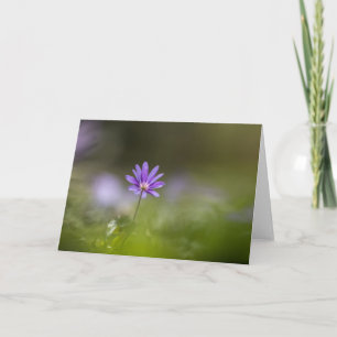 Purple windflower nature photo card