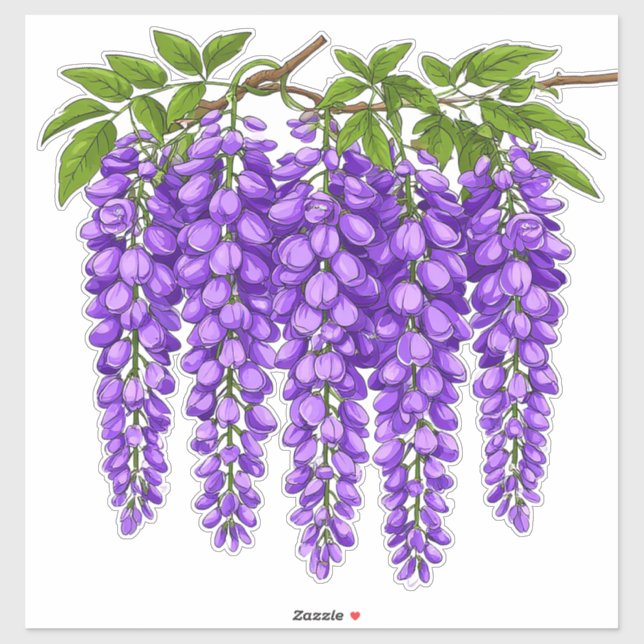 Purple Wisteria Clusters Blooming (Sheet)