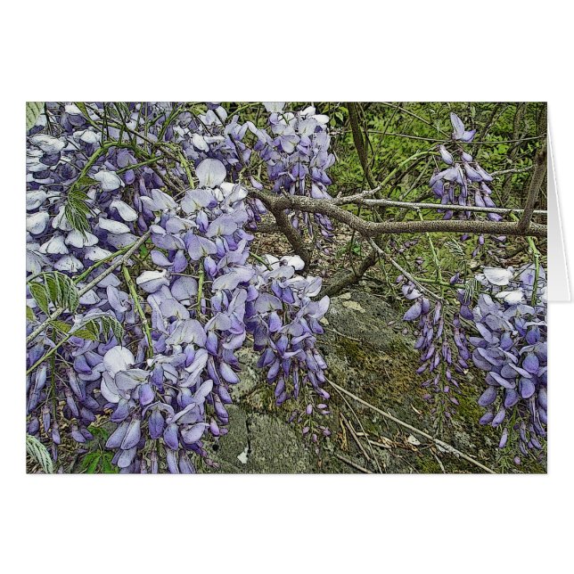 Purple Wisteria Coordinating Items (Front Horizontal)