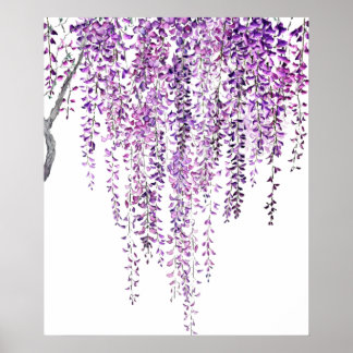purple wisteria in bloom poster