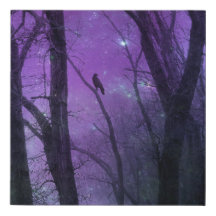 Purple Woodland Stars