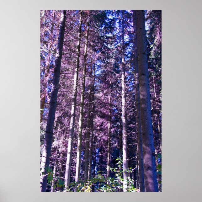 purple woods poster (Front)