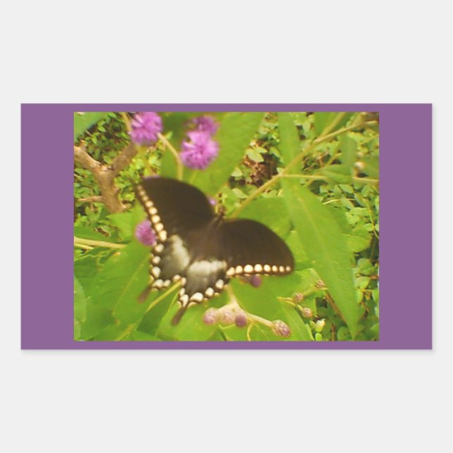 Purple Wrapped Black Monarch Rectangular Sticker (Front)