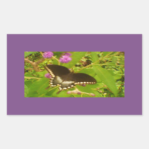 Purple Wrapped Black Monarch Rectangular Sticker