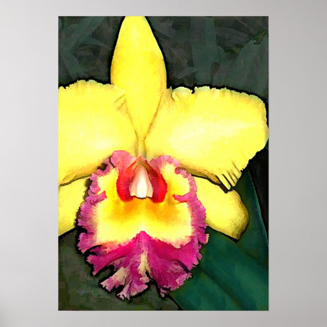Purple & Yellow Cattleya Orchid Poster (Front)