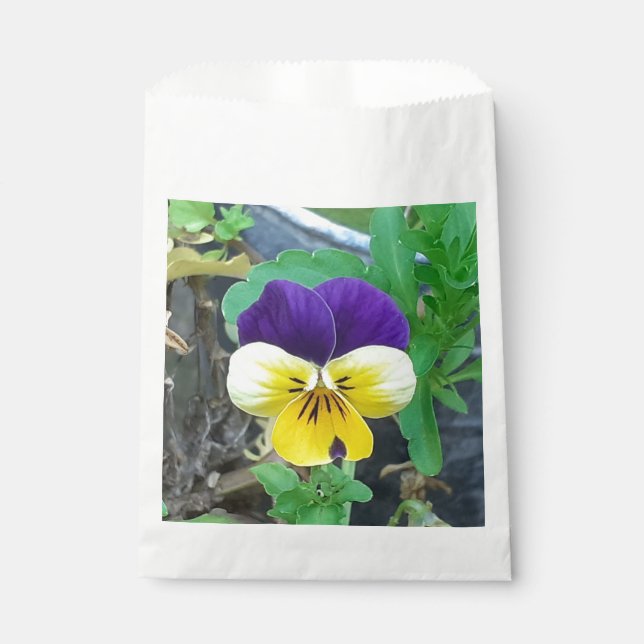Purple & Yellow Pansy  Favour Bags (Front)