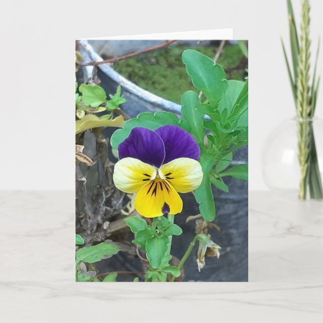 Purple & Yellow Pansy Greeting Card (Front)