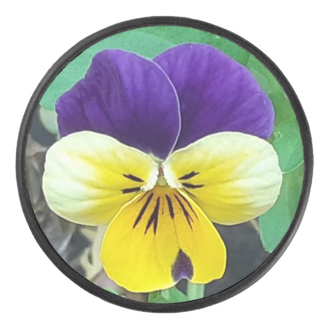 Purple & Yellow Pansy Hockey Puck (Front)