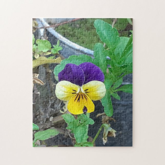 Purple & Yellow Pansy Jigsaw Puzzle (Vertical)