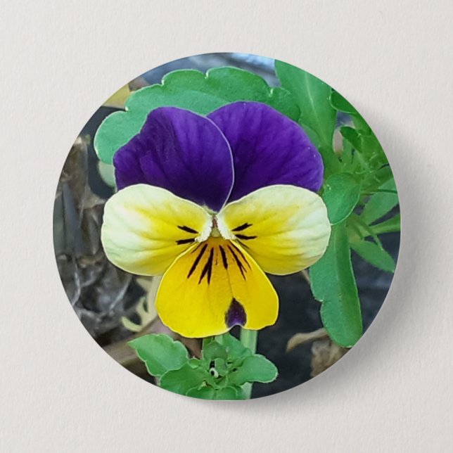 Purple & Yellow Pansy Round Badge (Front)