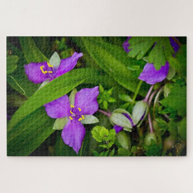 Purplish Pink Spiderwort Spring Burst Jigsaw Puzzle (Horizontal)