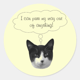 Purr My Way Out of Anything Stickers
