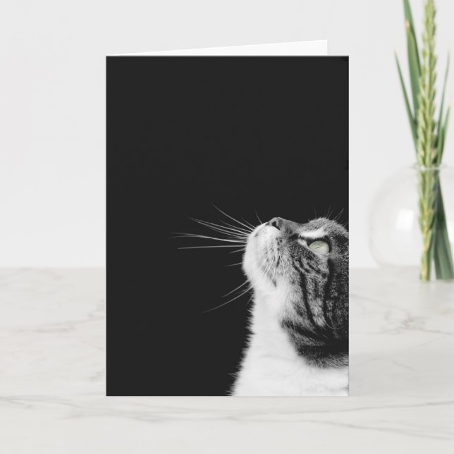 Purrfect Card (Front)