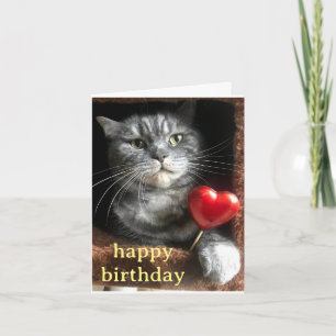 Purrfect Card