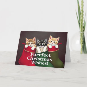 Purrfect Christmas Wishes Cats  Card