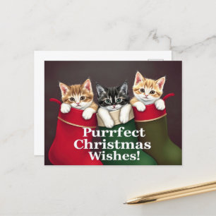 Purrfect Christmas Wishes Cats Postcard