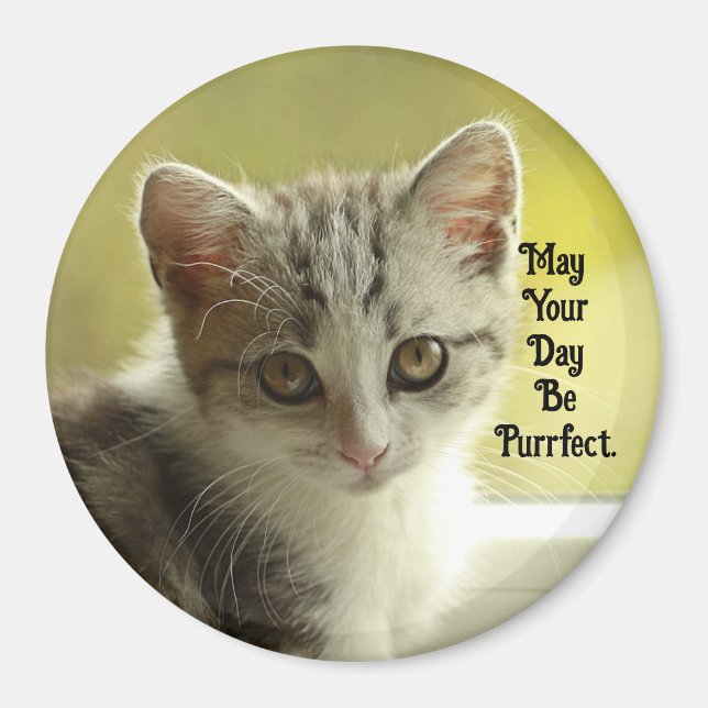 Purrfect Day Kitten Magnet (Front)