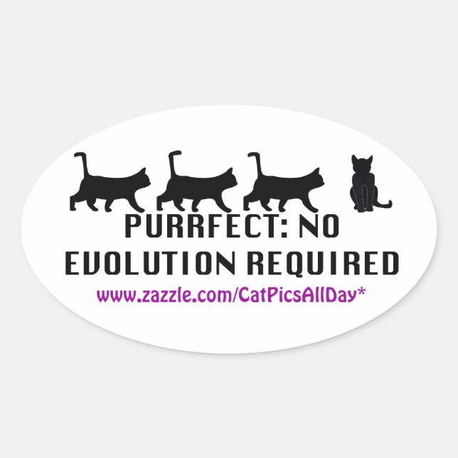 Purrfect Evolution Promo Sticker (Front)