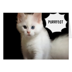 PURRFECT-THAT IS HOW U LOOK AT "30"