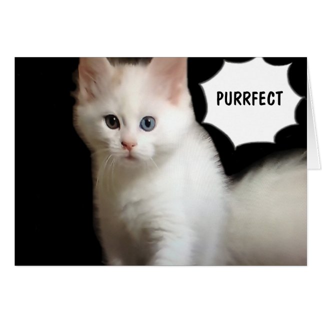 PURRFECT-THAT IS HOW U LOOK AT "30" (Front Horizontal)